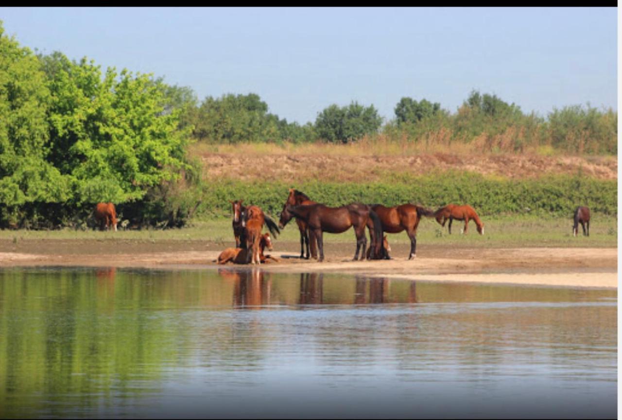 River Sun Valada Dış mekan fotoğraf